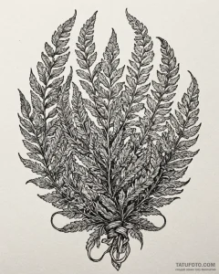 Tat tattoo sketch, curling fern fronds with d... - эскиз тату (№1753118167_0, 21.07.2025 17:16) — Tatufoto.com