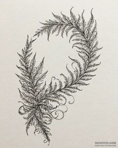 Tat tattoo sketch, curling fern fronds with d... - эскиз тату (№1753129354_0, 21.07.2025 20:22) — Tatufoto.com
