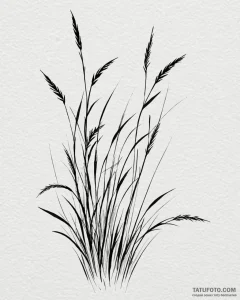 Tat tattoo sketch, delicate reeds bending gen... - эскиз тату (№1753207020_0, 22.07.2025 17:57) — Tatufoto.com