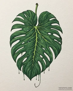Tat tattoo sketch, deep green monstera leaf w... - эскиз тату (№1753293968_0, 23.07.2025 18:06) — Tatufoto.com