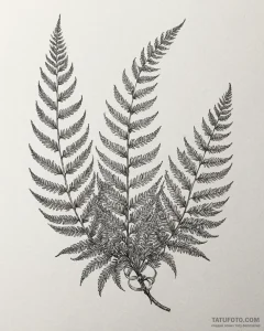 Tat tattoo sketch, curling fern fronds with d... - эскиз тату (№1753295424_0, 23.07.2025 18:30) — Tatufoto.com