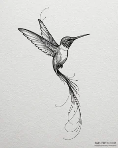 Tattoo sketch, slender hummingbird in flight... - эскиз тату (№1753361001_0, 24.07.2025 12:43) — Tatufoto.com