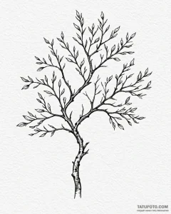 Tattoo sketch, simple minimalist tree with fe... - эскиз тату (№1753588811_0, 27.07.2025 04:00) — Tatufoto.com