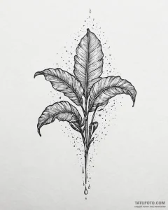 Tat tattoo sketch, shiny banana leaves covere... - эскиз тату (№1753638590_0, 27.07.2025 17:49) — Tatufoto.com