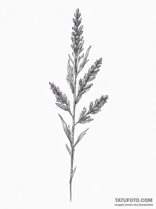 Tattoo design a minimalist lavender sprig, si... - эскиз тату (№1753920019_0, 31.07.2025 00:00) — Tatufoto.com