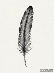 A single raven feather, concept art for tatto... - эскиз тату (№1754006787_0, 01.08.2025 00:06) — Tatufoto.com