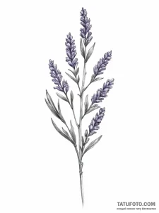 Tattoo sketch a minimalist lavender sprig, fo... - эскиз тату (№1754020055_0, 01.08.2025 03:47) — Tatufoto.com