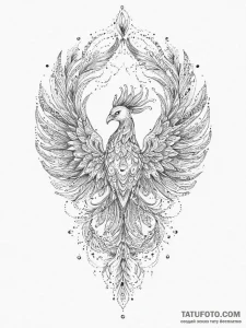 Phoenix, tattoo drawing outline, ornamental t... - эскиз тату (№1754221102_0, 03.08.2025 11:38) — Tatufoto.com