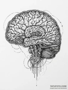 Tattoo design a human brain with integrated c... - эскиз тату (№1754227939_0, 03.08.2025 13:32) — Tatufoto.com