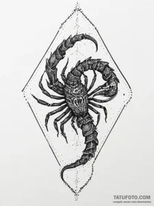 Tattoo design a scorpio scorpion's tail curli... - эскиз тату (№1754233541_0, 03.08.2025 15:05) — Tatufoto.com