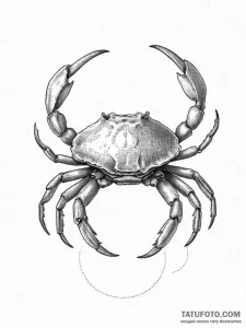 Tattoo design a minimalist cancer crab, its s... - эскиз тату (№1754242756_0, 03.08.2025 17:39) — Tatufoto.com