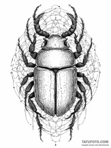 Scarab, ink illustration for tattoo, clean li... - эскиз тату (№1754336137_0, 04.08.2025 19:35) — Tatufoto.com