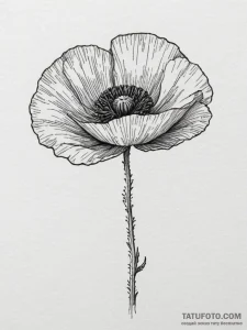 Poppy, ink illustration for tattoo, linework... - эскиз тату (№1754632492_0, 08.08.2025 05:54) — Tatufoto.com