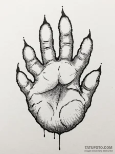 A close-up of a house cat's paw, showing the... - эскиз тату (№1754637453_0, 08.08.2025 07:17) — Tatufoto.com