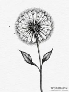 A detailed macro shot of a dandelion seed hea... - эскиз тату (№1754741282_0, 09.08.2025 12:08) — Tatufoto.com