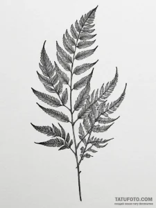 Ellie's fern tattoo from the last of us, conc... - эскиз тату (№1754755694_0, 09.08.2025 16:08) — Tatufoto.com