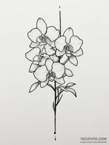 Orchid, tattoo line art, on a clean white pap... - эскиз тату (№1754828550_0, 10.08.2025 12:22) — Tatufoto.com