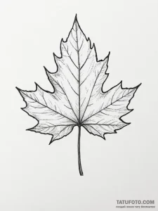 Maple - эскиз тату (№1754835887_0, 10.08.2025 14:24) — Tatufoto.com