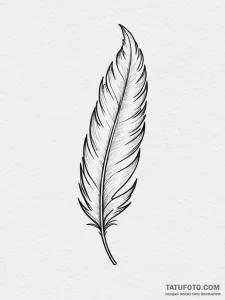 Tattoo sketch a small, elegant feather outlin... - эскиз тату (№1754877264_0, 11.08.2025 01:54) — Tatufoto.com