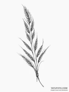Ear of wheat - эскиз тату (№1754903844_0, 11.08.2025 09:17) — Tatufoto.com
