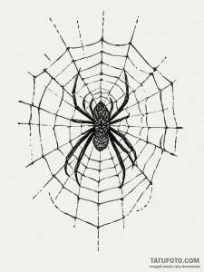 Tattoo sketch a spiderweb, delicate yet stron... - эскиз тату (№1754932903_0, 11.08.2025 17:21) — Tatufoto.com