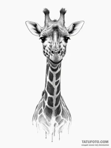 Giraffe - эскиз тату (№1755038461_0, 12.08.2025 22:41) — Tatufoto.com