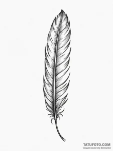 Tattoo design a single feather falling, symbo... - эскиз тату (№1755058176_0, 13.08.2025 04:09) — Tatufoto.com