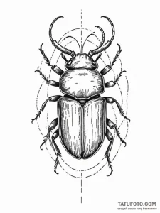 Beetle, tattoo sketch design, on a clean whit... - эскиз тату (№1755429190_0, 17.08.2025 11:13) — Tatufoto.com
