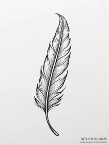 Tattoo sketch a small, elegant feather on the... - эскиз тату (№1755489770_0, 18.08.2025 04:02) — Tatufoto.com