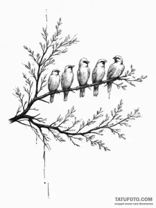 Tattoo sketch a family of birds perched on a... - эскиз тату (№1755673355_0, 20.08.2025 07:02) — Tatufoto.com