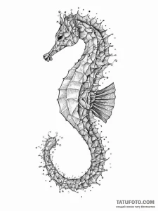 A hippocampus (mythological seahorse), tattoo... - эскиз тату (№1755722490_0, 20.08.2025 20:41) — Tatufoto.com