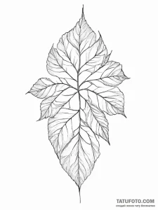 Tattoo sketch a delicate network of veins on... - эскиз тату (№1755745019_0, 21.08.2025 02:56) — Tatufoto.com