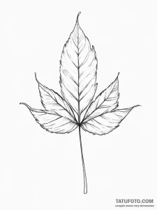 Leaf - эскиз тату (№1755745816_0, 21.08.2025 03:10) — Tatufoto.com