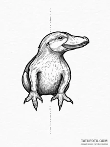 Tattoo sketch platypus, concept art for tatto... - эскиз тату (№1755809116_0, 21.08.2025 20:45) — Tatufoto.com