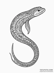 Tattoo sketch moray eel, tattoo drawing outli... - эскиз тату (№1755834792_0, 22.08.2025 03:53) — Tatufoto.com
