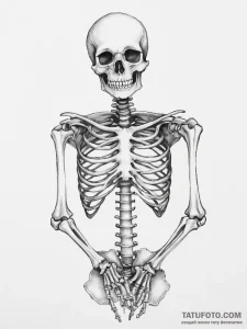 Tattoo sketch skeleton - эскиз тату (№1755853495_0, 22.08.2025 09:04) — Tatufoto.com
