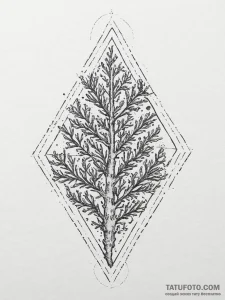 Tattoo sketch coral, tattoo line art, dotwork... - эскиз тату (№1756036182_0, 24.08.2025 11:49) — Tatufoto.com