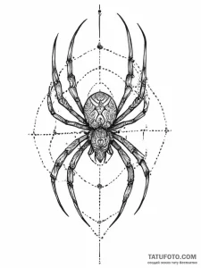 Tattoo sketch узор в виде паука - эскиз тату (№1756037589_0, 24.08.2025 12:13) — Tatufoto.com