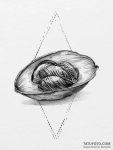 Tattoo sketch mussel - эскиз тату (№1756045494_0, 24.08.2025 14:24) — Tatufoto.com