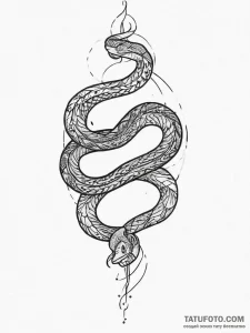 Tattoo sketch snake, tattoo flash sheet desig... - эскиз тату (№1756049764_0, 24.08.2025 15:36) — Tatufoto.com