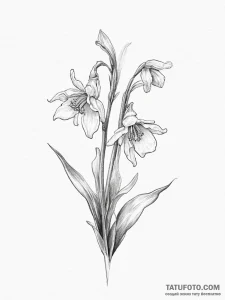 Tattoo sketch snowdrop - эскиз тату (№1756179828_0, 26.08.2025 03:43) — Tatufoto.com