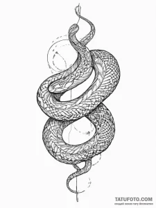 Tattoo sketch линейная змея - эскиз тату (№1756185477_0, 26.08.2025 05:17) — Tatufoto.com