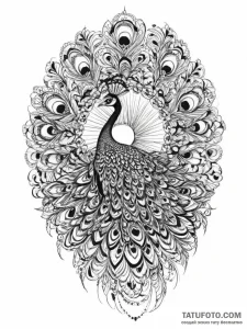 Tattoo sketch peacock tattoo, tattoo flash sh... - эскиз тату (№1756192519_0, 26.08.2025 07:15) — Tatufoto.com