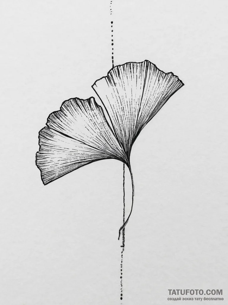 Tattoo sketch ginkgo leaf, tattoo line art, b... - эскиз тату (№1756249946_0, 26.08.2025 23:12) — Tatufoto.com