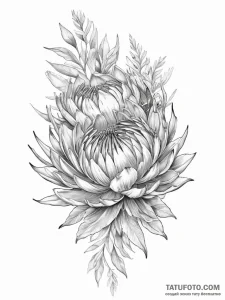 Tattoo sketch king protea flower - эскиз тату (№1756251326_0, 26.08.2025 23:35) — Tatufoto.com