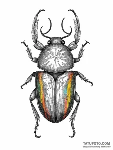 Tattoo sketch hide beetle, ink illustration f... - эскиз тату (№1756286927_0, 27.08.2025 09:28) — Tatufoto.com