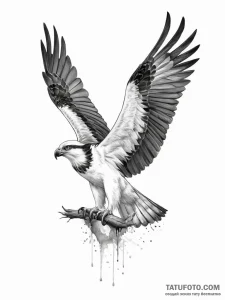 Tattoo sketch osprey - эскиз тату (№1756495050_0, 29.08.2025 19:17) — Tatufoto.com