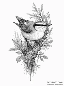 Tattoo sketch red-breasted nuthatch, tattoo f... - эскиз тату (№1756611186_0, 31.08.2025 03:33) — Tatufoto.com