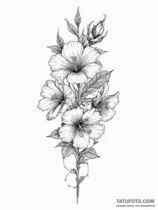 Tattoo sketch hollyhock flower, concept art f... - эскиз тату (№1756637463_0, 31.08.2025 10:51) — Tatufoto.com
