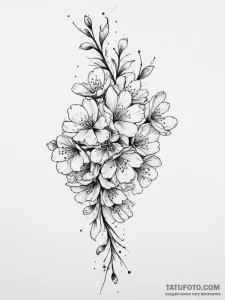 Tattoo sketch cherry blossom - эскиз тату (№1756648715_0, 31.08.2025 13:58) — Tatufoto.com